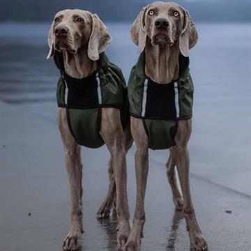 Canelana Touring ulddækken - Perfekt til den aktive hund - Grøn str. XL 69 cm