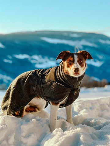 Ulddækken fra Non-stop dogwear