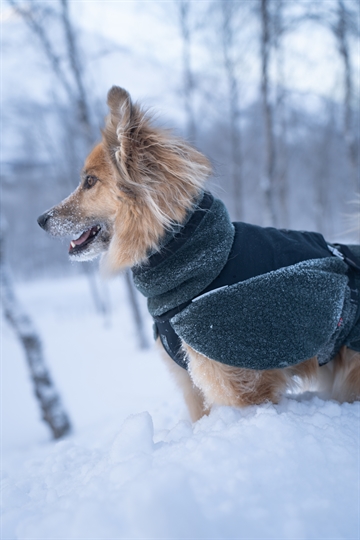 Ulddækken fra Non-stop dogwear