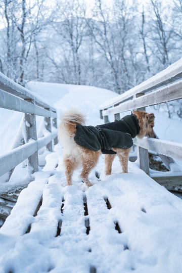 Ulddækken fra Non-stop dogwear