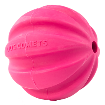 Dog Comets Bold uden snor