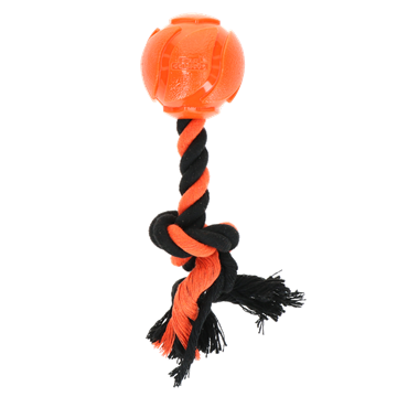 Dog Comets AstroTug bold