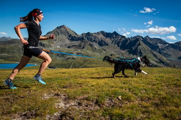 Hund med træksele i løb med kvinde