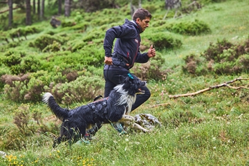 Hund med Rock sele og mand i løb