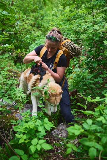 Hund med Rock sele på hiking med kvinde