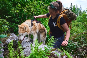 Hund med Rock sele på hiking med kvinde