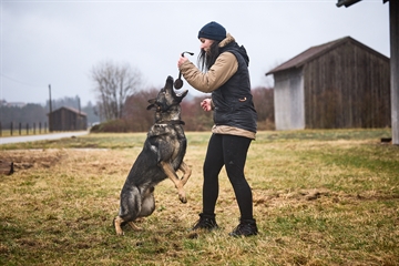 Kvinde i træningsvest med hund