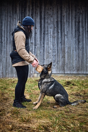 Kvinde i træningsvest med hund