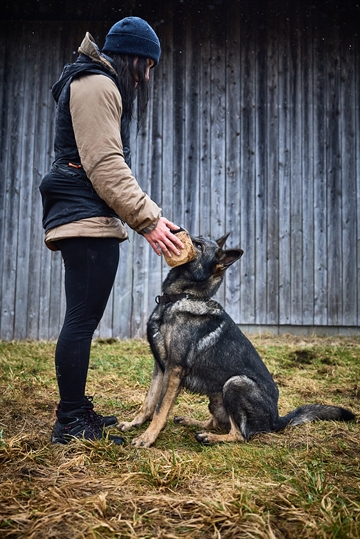 Kvinde i træningsvest med hund