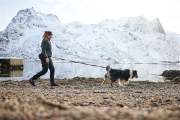 Hund med Rock sele på hiking med kvinde