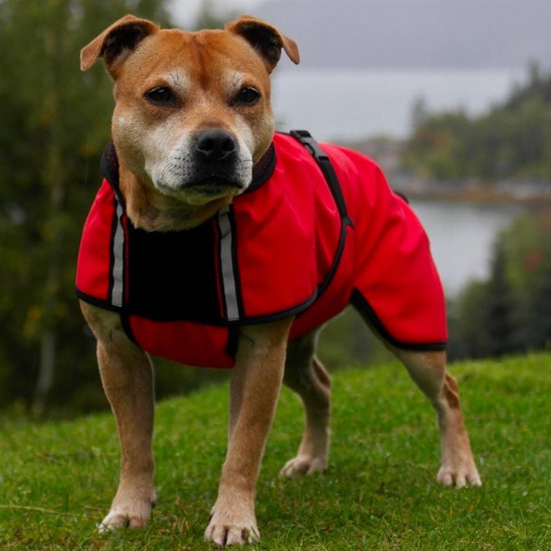 Canelana Cover softshell dækken - vind- og regndækken - Sort Terrier str. S