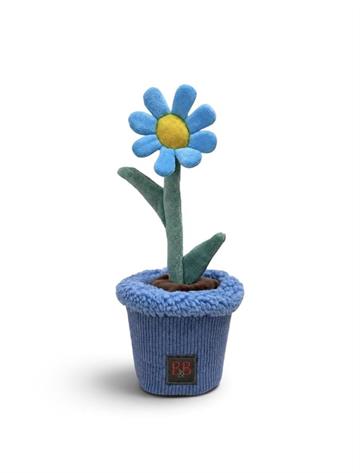 Pawtanic Garden Daisy - Snusetæppe og legetøj