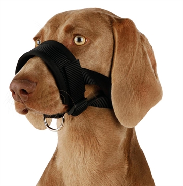 Mundkurvstrop med ekstra foring