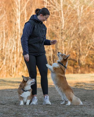 Kvinde i træningsvest med 2 hunde