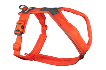 Orange Line 5.0 sele fra Non-Stop Dogwear