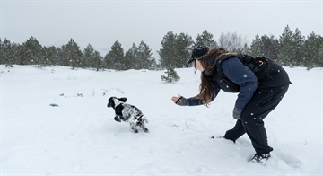 Kvinde i træningsvest med hund i sneen