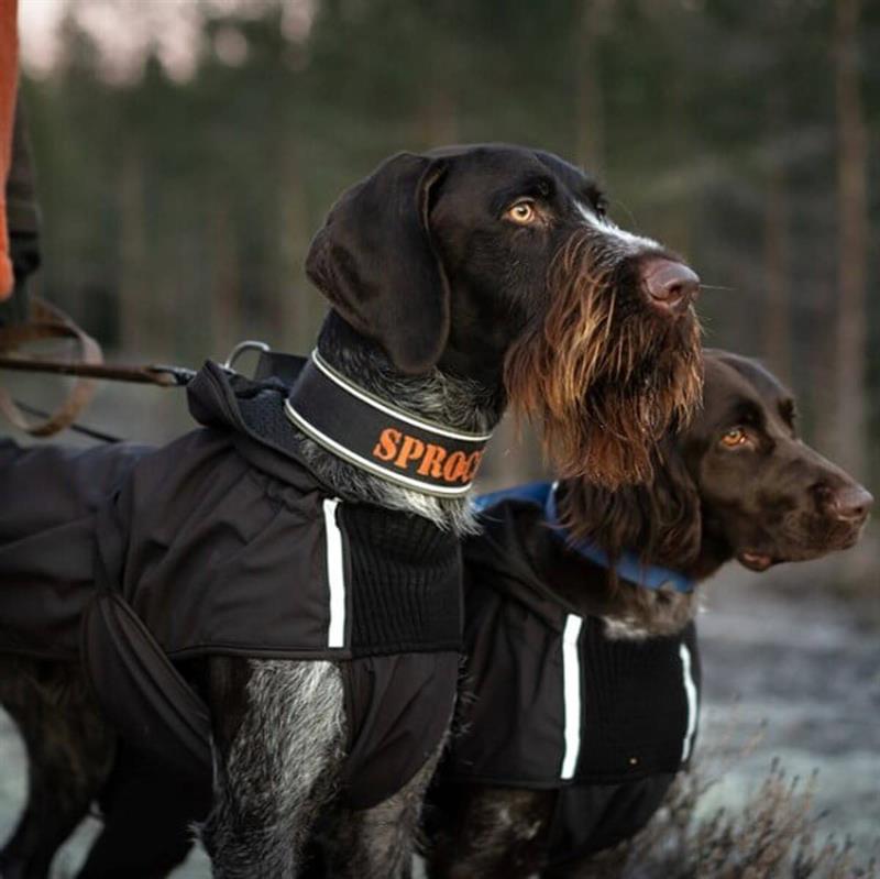 Canelana Touring ulddækken - Perfekt til den aktive hund - Sort Terrier str. M