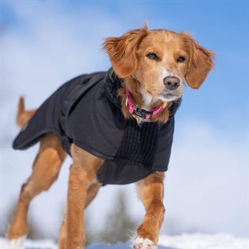 Canelana Thermo ulddækken - Vindtæt og vandafvisende - Sort Terrier str. XS